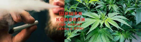 apvp Алзамай