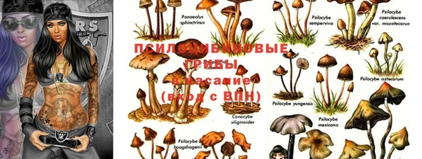 jwh Алексин