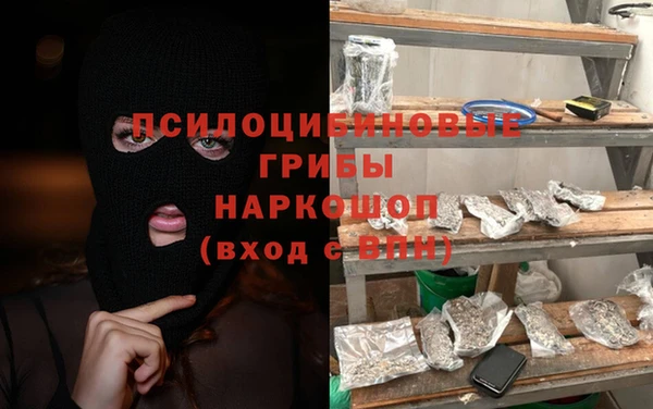 apvp Алзамай