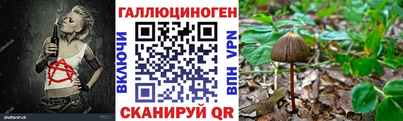 Псилоцибиновые грибы прущие грибы  Суровикино 