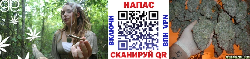 Канабис гибрид  где можно купить   Суровикино 